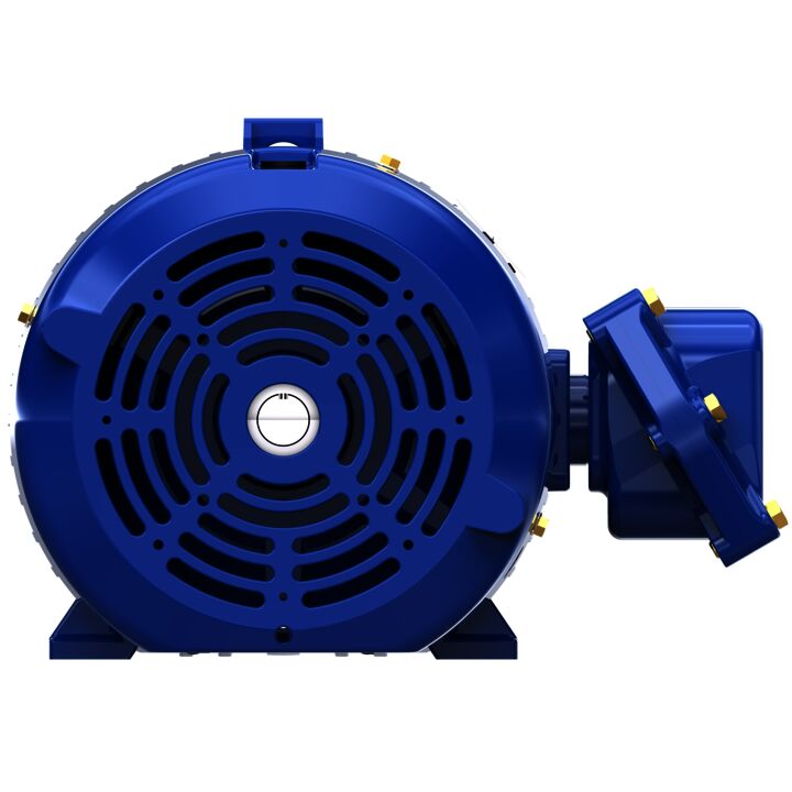 Explosion Proof Motor, 20 & 15 HP, 3 Ph, 60 & 50 Hz, 230/460 & 190/380 V, 3600 & 3000 RPM, 256TC Frame, EPFC