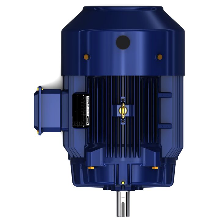 General Purpose Motor, 30 & 25 HP, 3 Ph, 60 & 50 Hz, 230/460 & 190/380 V, 3600 & 3000 RPM, 286TS Frame, TEFC