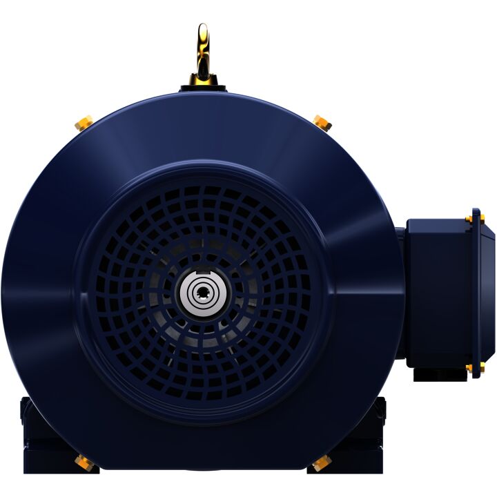 Close-Coupled Pump Motor, 25 & 20 HP, 3 Ph, 60 & 50 Hz, 230/460 & 190/380 V, 3600 & 3000 RPM, 284JP Frame, TEFC