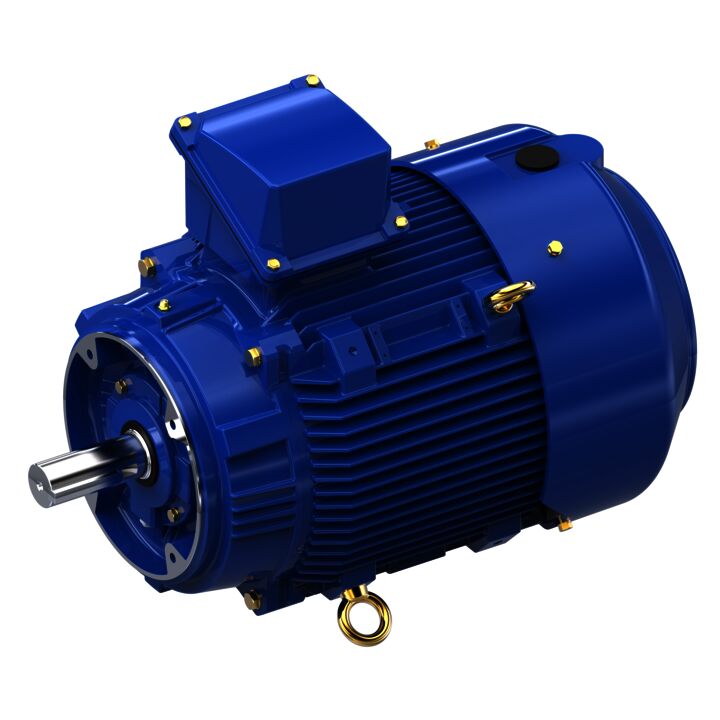 Severe Duty Motor, 30 HP, 3 Ph, 60 Hz, 460 V, 1800 RPM, 286TCV Frame, TEFC