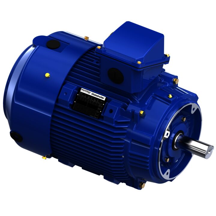 Severe Duty Motor, 30 HP, 3 Ph, 60 Hz, 460 V, 1800 RPM, 286TCV Frame, TEFC