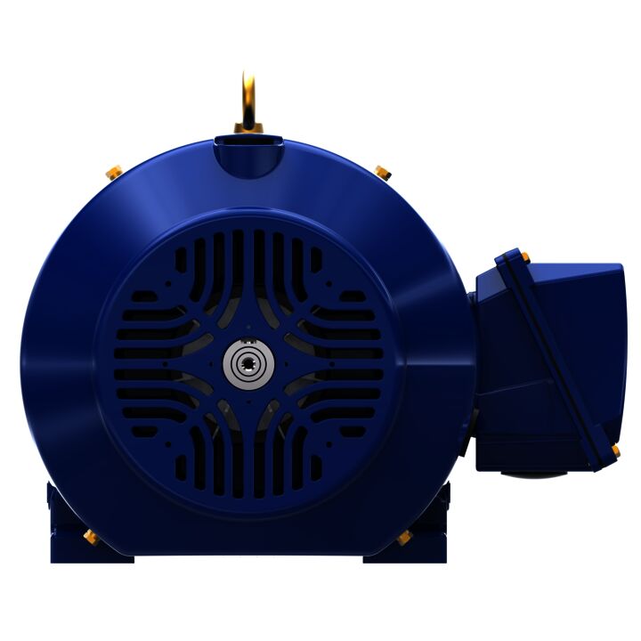 Severe Duty Motor, 30 HP, 3 Ph, 60 Hz, 230/460 V, 3600 RPM, 286TS Frame, TEFC