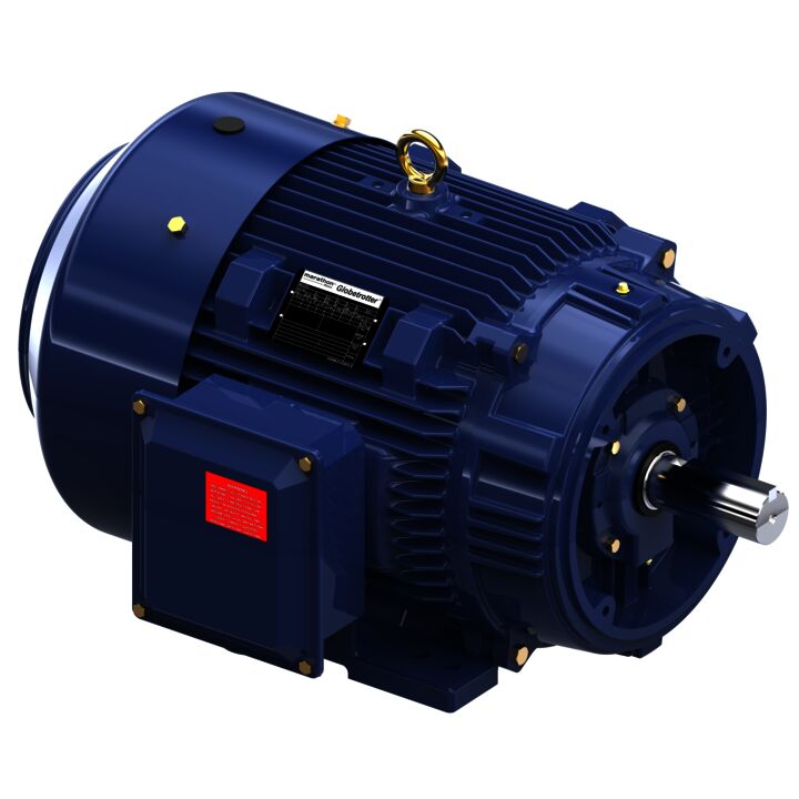 General Purpose Motor, 25 & 20 HP, 3 Ph, 60 & 50 Hz, 230/460 & 190/380 V, 1200 & 1000 RPM, 324TC Frame, TEFC