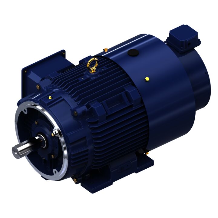 Encoder Motor, 25 HP, 3 Ph, 60 Hz, 230/460 V, 1200 RPM, 324TC Frame, TEBC-AXIAL