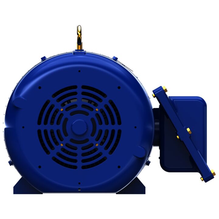 Explosion Proof Motor, 40 & 30 HP, 3 Ph, 60 & 50 Hz, 230/460 & 190/380 V, 1800 & 1500 RPM, 324TS Frame, EPFC