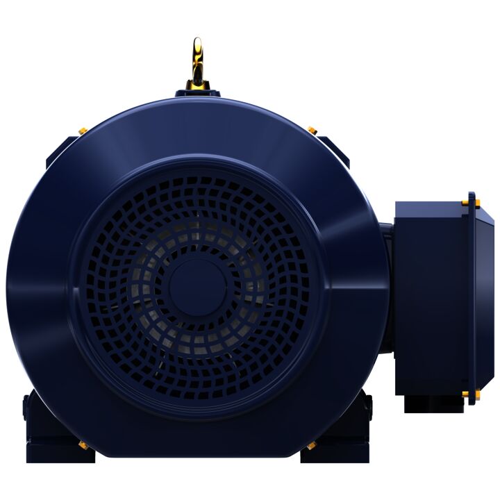 Close-Coupled Pump Motor, 50 & 40 HP, 3 Ph, 60 & 50 Hz, 230/460 & 190/380 V, 3600 & 3000 RPM, 326JM Frame, TEFC