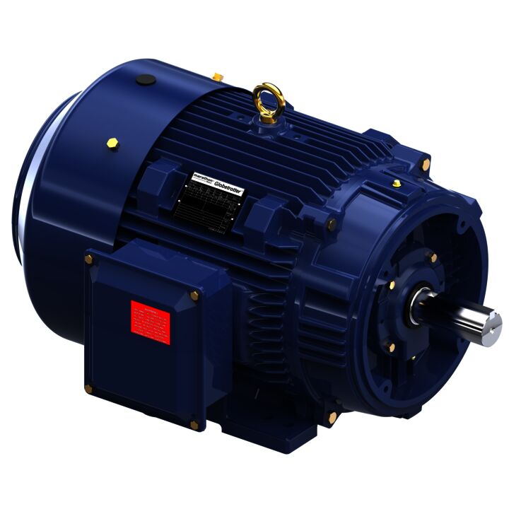 General Purpose Motor, 30 & 25 HP, 3 Ph, 60 & 50 Hz, 230/460 & 190/380 V, 1200 & 1000 RPM, 326TC Frame, TEFC