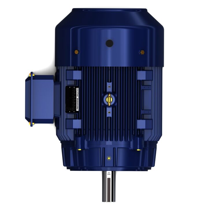 General Purpose Motor, 30 & 25 HP, 3 Ph, 60 & 50 Hz, 230/460 & 190/380 V, 1200 & 1000 RPM, 326TC Frame, TEFC General Purpose Motor, 30 & 25 HP, 3 Ph, 60 & 50 Hz, 230/460 & 190/380 V, 1200 & 1000 RPM, 326TC Frame, TEFC