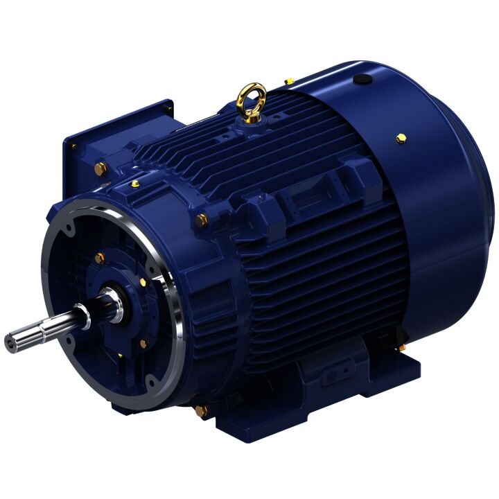 Close-Coupled Pump Motor, 40 & 30 HP, 3 Ph, 60 & 50 Hz, 230/460 & 190/380 V, 1800 & 1500 RPM, 324JP Frame, TEFC