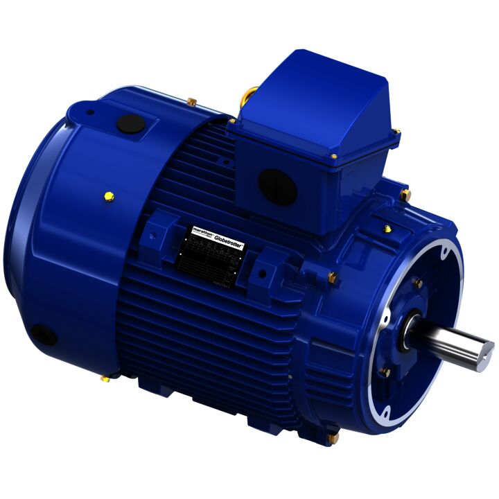 Severe Duty Motor, 40 HP, 3 Ph, 60 Hz, 460 V, 1800 RPM, 324TCV Frame, TEFC