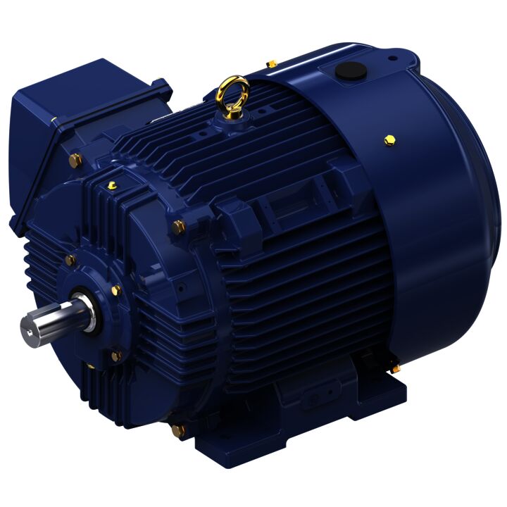 Severe Duty Motor, 50 HP, 3 Ph, 60 Hz, 460 V, 3600 RPM, 326TS Frame, TEFC