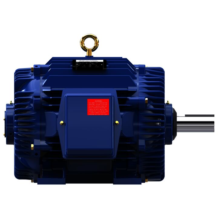 Other Purpose Motor, 20 HP, 3 Ph, 60 Hz, 460 V, 900 RPM, 324T Frame, TEAO