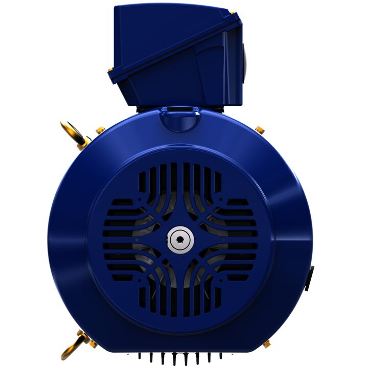 Severe Duty Motor, 40 HP, 3 Ph, 60 Hz, 460 V, 1800 RPM, 324TCV Frame, TEFC