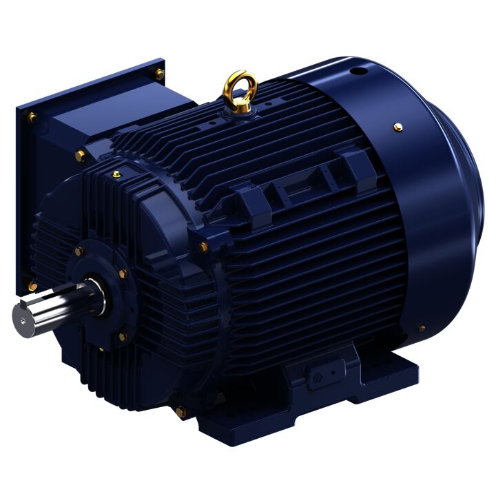 General Purpose Motor, 75 & 60 HP, 3 Ph, 60 & 50 Hz, 230/460 & 190/380 V, 1800 & 1500 RPM, 365T Frame, TEFC