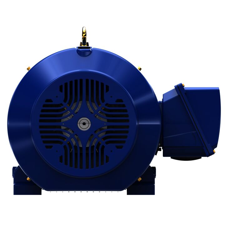 Severe Duty Motor, 100 HP, 3 Ph, 60 Hz, 460 V, 3600 RPM, 405TS Frame, TEFC