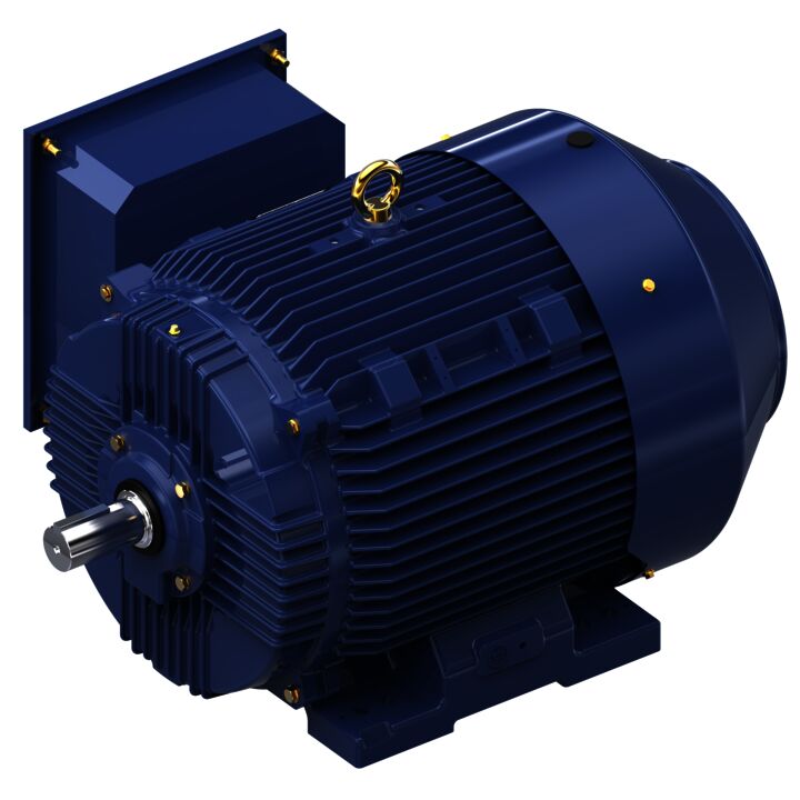 General Purpose Motor, 100 & 75 HP, 3 Ph, 60 & 50 Hz, 230/460 & 190/380 V, 3600 & 3000 RPM, 405TS Frame, TEFC