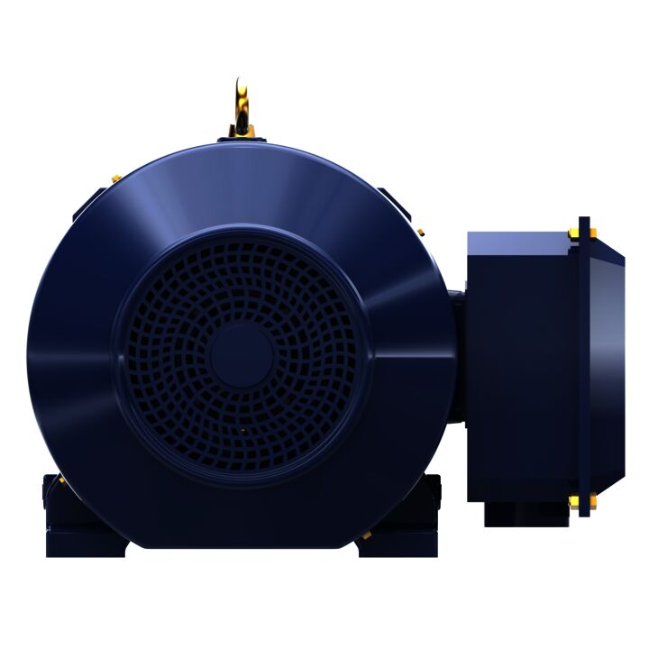 General Purpose Motor, 75 & 60 HP, 3 Ph, 60 & 50 Hz, 230/460 & 190/380 V, 1800 & 1500 RPM, 365T Frame, TEFC