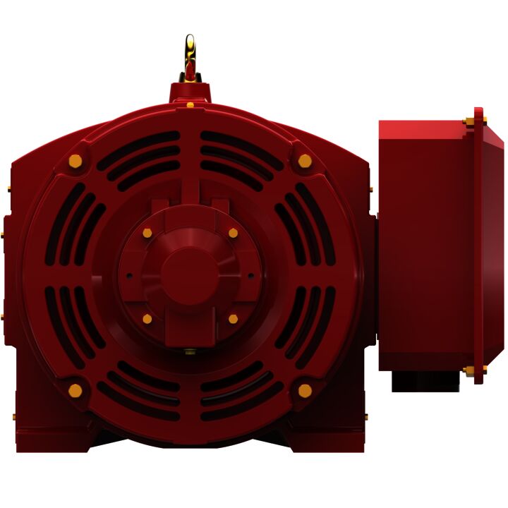 Fire Pump Motor, 125 HP, 3 Ph, 60 Hz, 575 V, 3600 RPM, 404TS Frame, DP