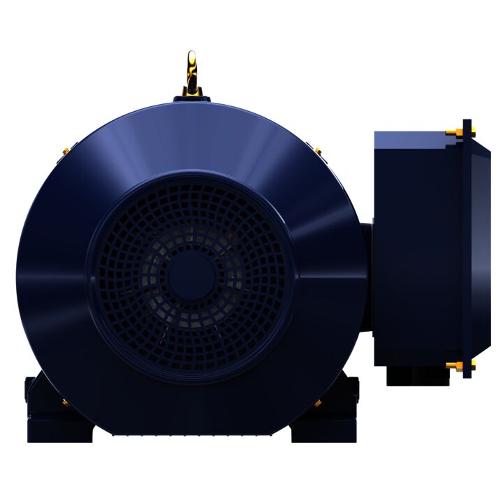 General Purpose Motor, 100 & 75 HP, 3 Ph, 60 & 50 Hz, 230/460 & 190/380 V, 3600 & 3000 RPM, 405TS Frame, TEFC