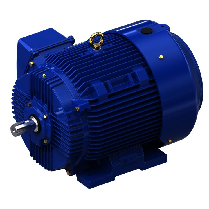 Severe Duty Motor, 75 HP, 3 Ph, 60 Hz, 460 V, 3600 RPM, 365TS Frame, TEFC