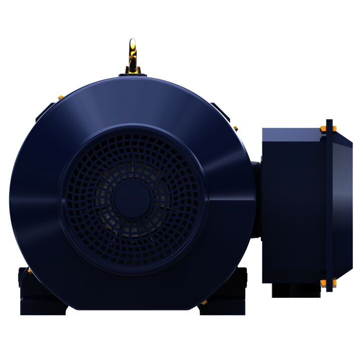 General Purpose Motor, 50 & 40 HP, 3 Ph, 60 & 50 Hz, 230/460 & 190/380 V, 1200 & 1000 RPM, 365TC Frame, TEFC