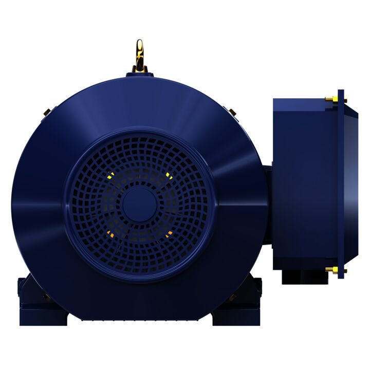 General Purpose Motor, 60 & 50 HP, 3 Ph, 60 & 50 Hz, 230/460 & 190/380 V, 1200 & 1000 RPM, 404T Frame, TEFC