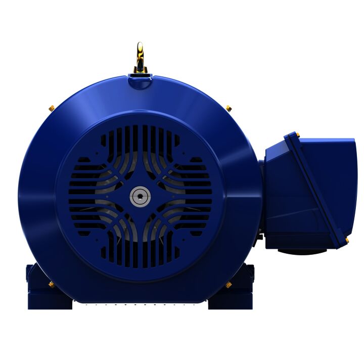 Severe Duty Motor, 100 HP, 3 Ph, 60 Hz, 575 V, 1800 RPM, 405T Frame, TEFC