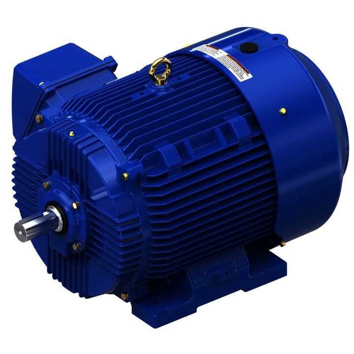 Severe Duty Motor, 100 HP, 3 Ph, 60 Hz, 460 V, 1800 RPM, 405TS Frame, TEFC