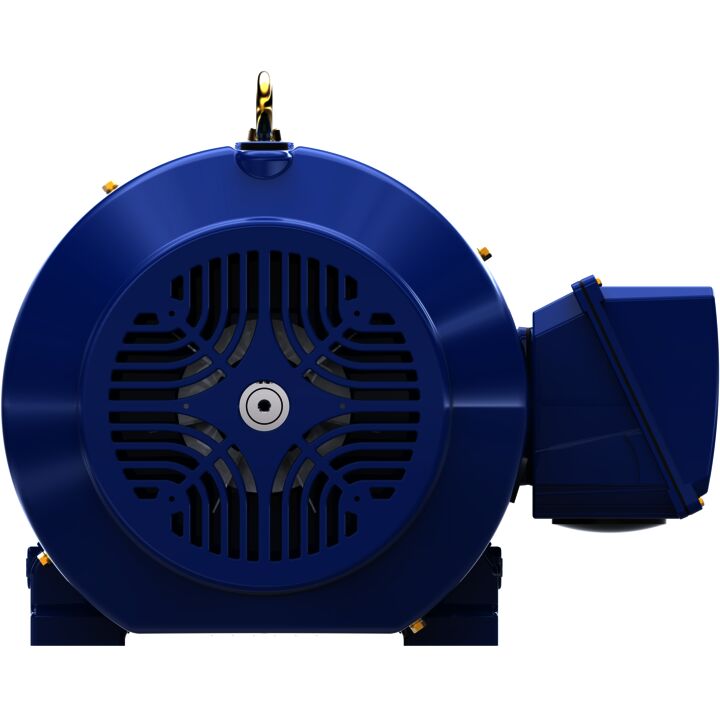 Severe Duty Motor, 75 HP, 3 Ph, 60 Hz, 460 V, 3600 RPM, 365TS Frame, TEFC