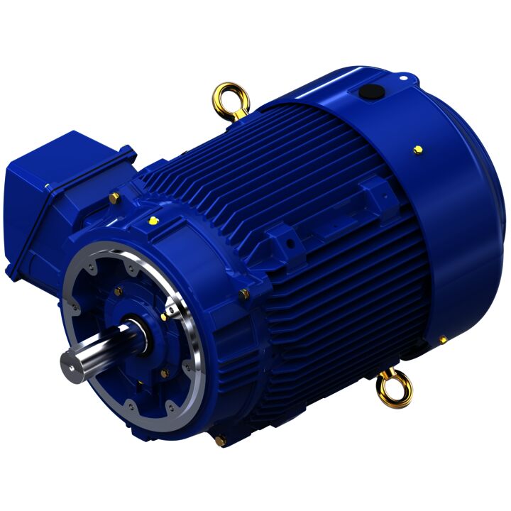 Severe Duty Motor, 75 HP, 3 Ph, 60 Hz, 460 V, 1800 RPM, 365TCV Frame, TEFC