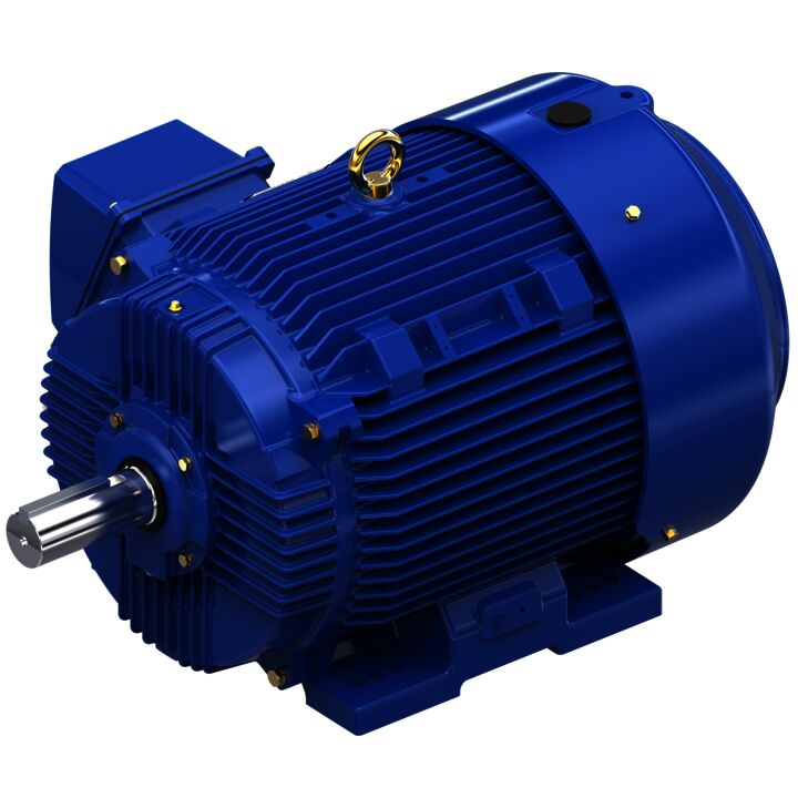 Severe Duty Motor, 75 HP, 3 Ph, 60 Hz, 575 V, 1800 RPM, 365T Frame, TEFC