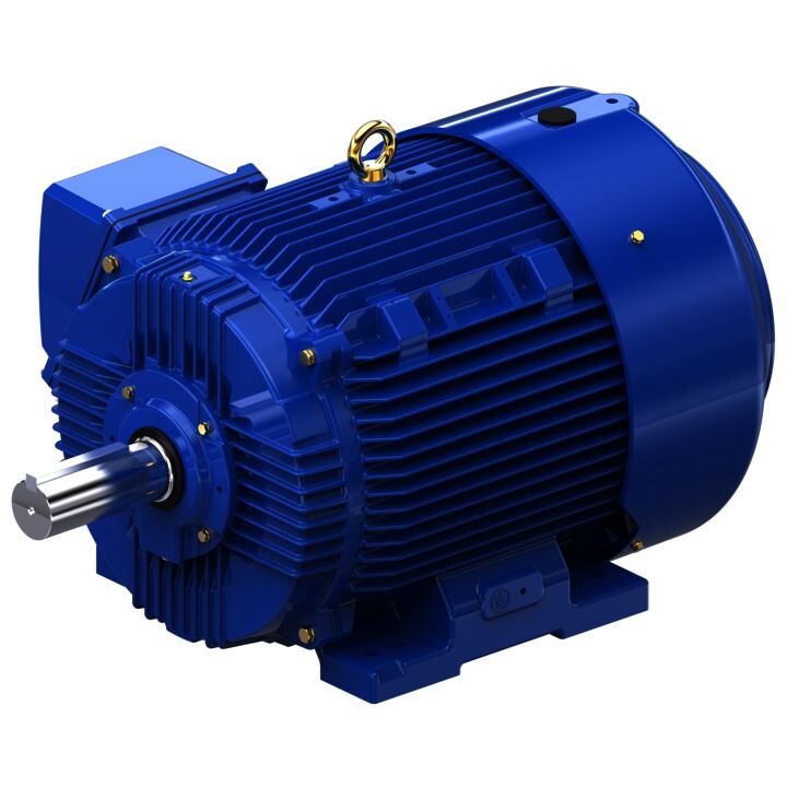 Severe Duty Motor, 75 HP, 3 Ph, 60 Hz, 460 V, 1200 RPM, 405T Frame, TEFC