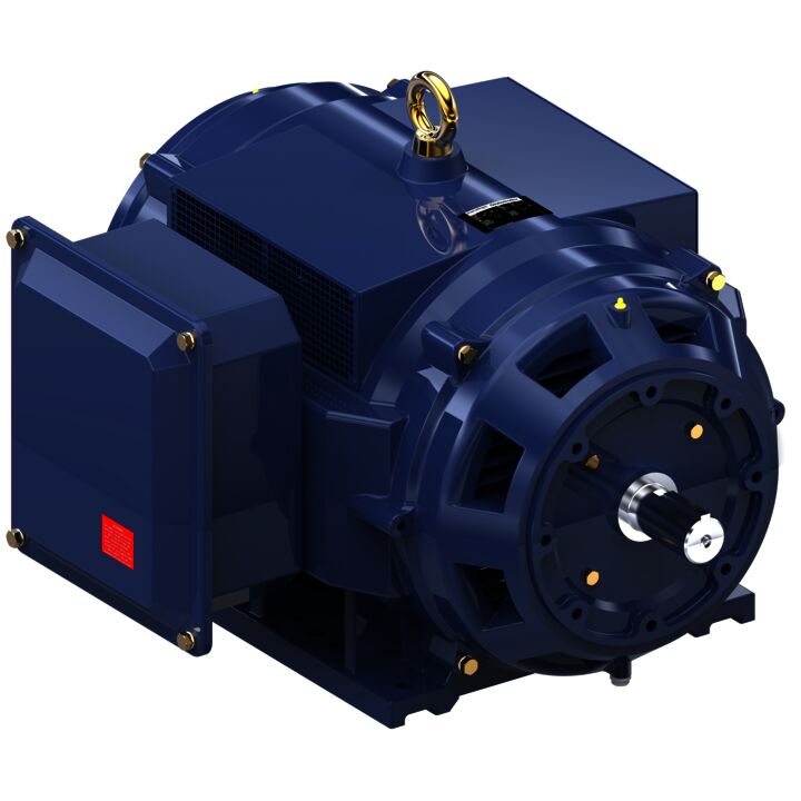 General Purpose Motor, 125 & 100 HP, 3 Ph, 60 & 50 Hz, 460 & 380 V, 1800 & 1500 RPM, 405TSC Frame, DP