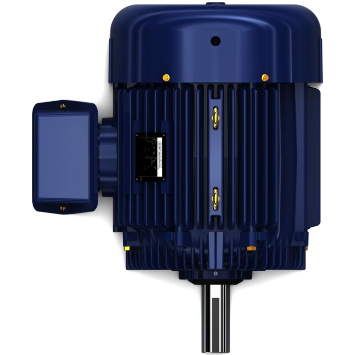 Other Purpose Motor, 60 & 50 HP, 3 Ph, 60 & 50 Hz, 230/460 & 190/380 V, 1200 & 1000 RPM, 404T Frame, TEFC