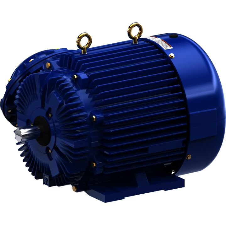 Explosion Proof Motor, 75 & 60 HP, 3 Ph, 60 & 50 Hz, 230/460 & 190/380 V, 1800 & 1500 RPM, 365TS Frame, EPFC