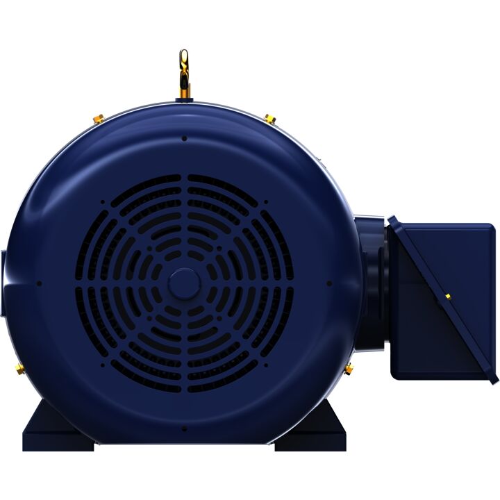 Other Purpose Motor, 60 & 50 HP, 3 Ph, 60 & 50 Hz, 230/460 & 190/380 V, 1200 & 1000 RPM, 404T Frame, TEFC