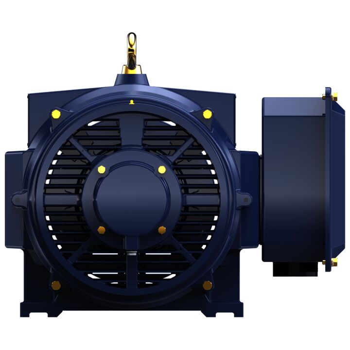 General Purpose Motor, 125 & 100 HP, 3 Ph, 60 & 50 Hz, 460 & 380 V, 1800 & 1500 RPM, 405TSC Frame, DP