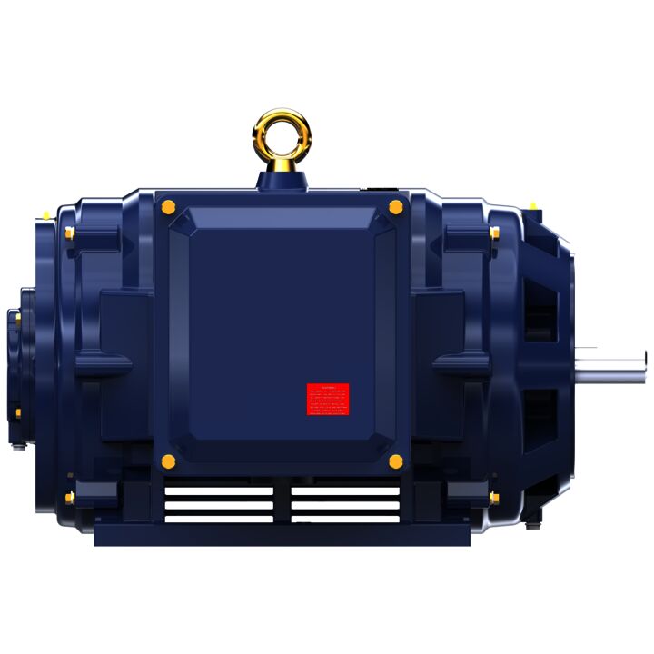 General Purpose Motor, 125 & 100 HP, 3 Ph, 60 & 50 Hz, 460 & 380 V, 1800 & 1500 RPM, 405TSC Frame, DP