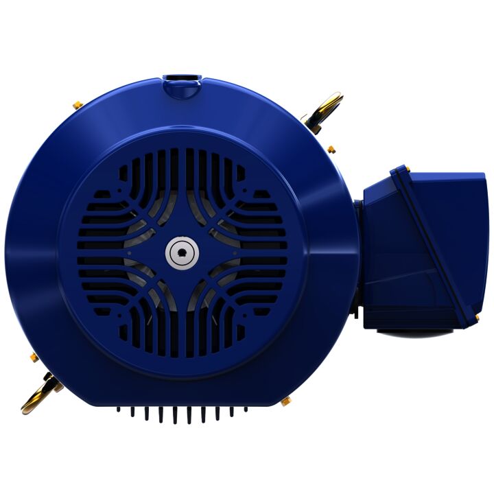 Severe Duty Motor, 75 HP, 3 Ph, 60 Hz, 460 V, 1800 RPM, 365TCV Frame, TEFC