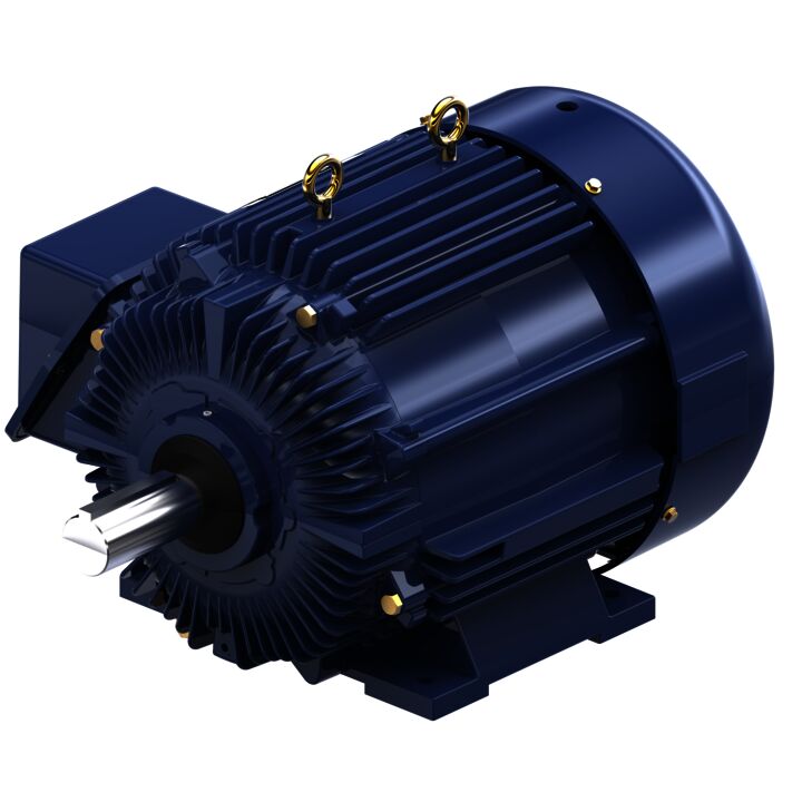 Other Purpose Motor, 60 & 50 HP, 3 Ph, 60 & 50 Hz, 230/460 & 190/380 V, 1200 & 1000 RPM, 404T Frame, TEFC