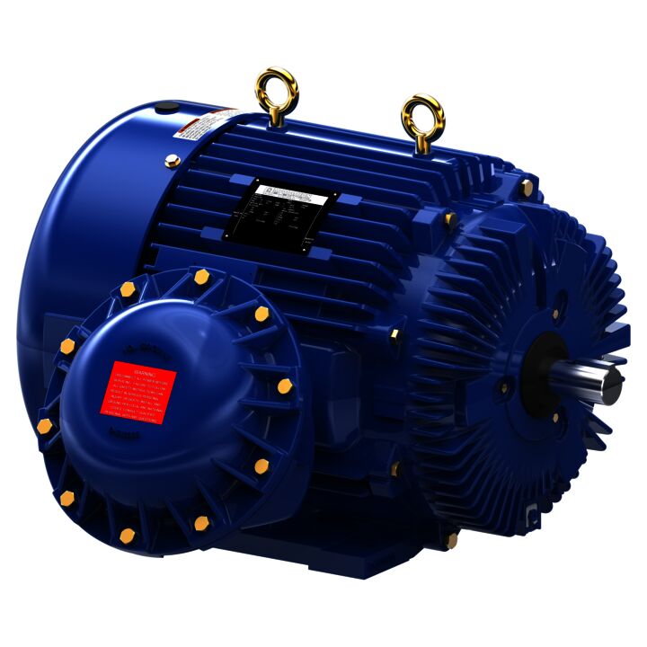 Explosion Proof Motor, 75 & 60 HP, 3 Ph, 60 & 50 Hz, 230/460 & 190/380 V, 1800 & 1500 RPM, 365TS Frame, EPFC