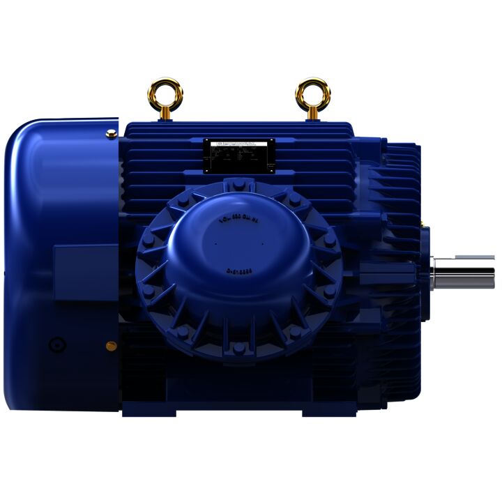 Explosion Proof Motor, 100 & 75 HP, 3 Ph, 60 & 50 Hz, 230/460 & 190/380 V, 1800 & 1500 RPM, 405TS Frame, EPFC