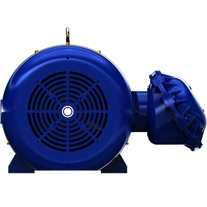 Explosion Proof Motor, 100 & 75 HP, 3 Ph, 60 & 50 Hz, 230/460 & 190/380 V, 1800 & 1500 RPM, 405TS Frame, EPFC