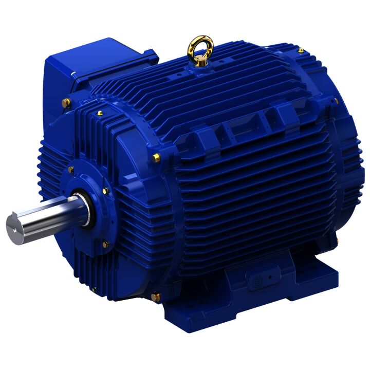 General Purpose Motor, 100 & 75 HP, 3 Ph, 60 & 50 Hz, 230/460 & 190/380 V, 1800 & 1500 RPM, 405TV Frame, TEAO