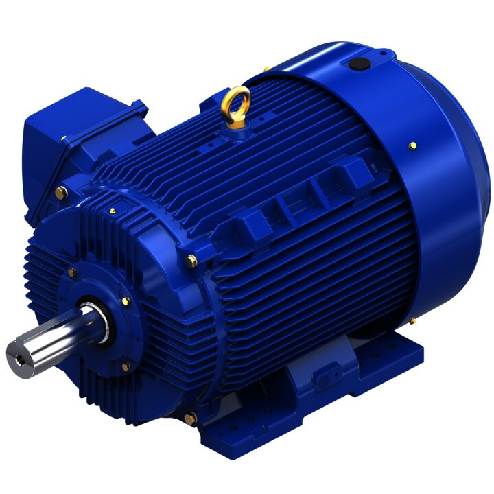 Severe Duty Motor, 100 HP, 3 Ph, 60 Hz, 460 V, 1200 RPM, 444T Frame, TEFC