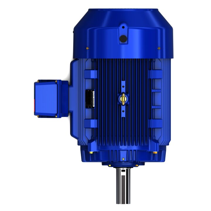 Severe Duty Motor, 100 HP, 3 Ph, 60 Hz, 460 V, 1200 RPM, 444T Frame, TEFC