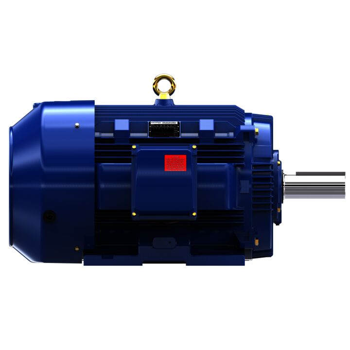 Severe Duty Motor, 100 HP, 3 Ph, 60 Hz, 460 V, 1200 RPM, 444T Frame, TEFC