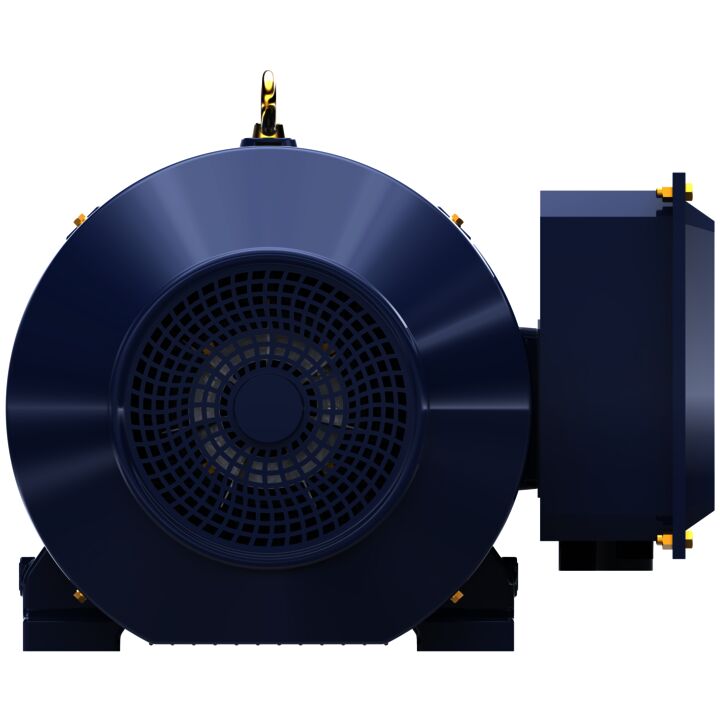 General Purpose Motor, 100 & 75 HP, 3 Ph, 60 & 50 Hz, 230/460 & 190/380 V, 1800 & 1500 RPM, 405TC Frame, TEFC