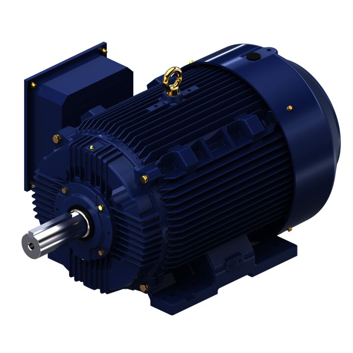 Encoder Motor, 125 HP, 3 Ph, 60 Hz, 460 V, 1800 RPM, 444T Frame, TEFC