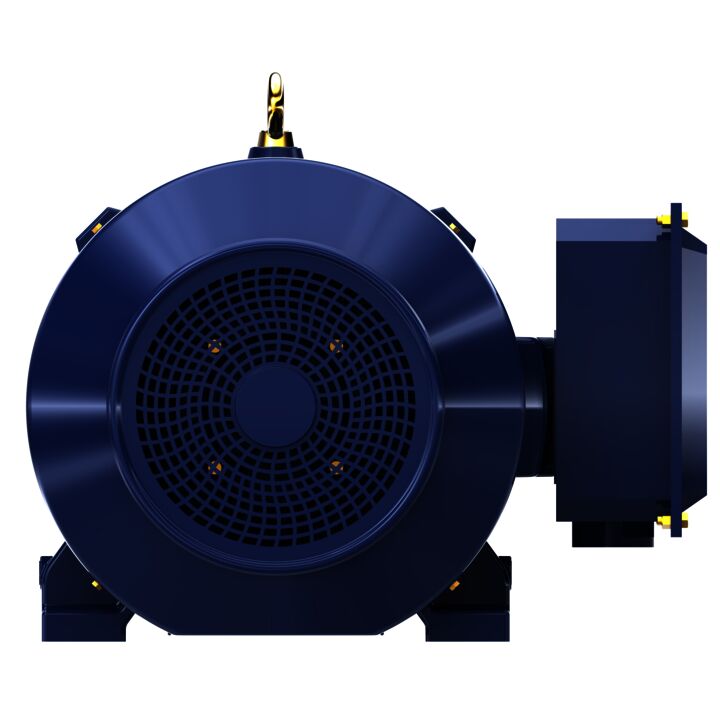 General Purpose Motor, 100 & 75 HP, 3 Ph, 60 & 50 Hz, 230/460 & 190/380 V, 1200 & 1000 RPM, 444T Frame, TEFC